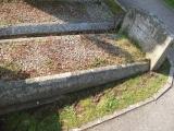 image of grave number 136504